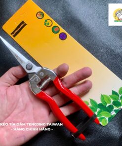 Kéo cắt tỉa dăm chồi cây cảnh, bonsai TENGJING TAIWAN - Kéo tỉa dăm cây cảnh, cắt trái cây Đài Loan