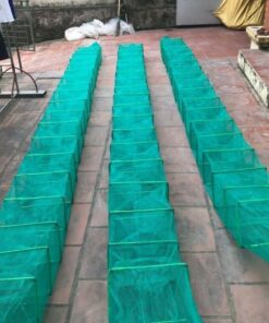 Lồng Bát Quái 29 Khung 23x34cm – Bẫy Tôm, Cua, Cá, Lươn, Trạch, Khung Sắt Bền, Lưới Dày, Hàng Xưởng – Thunderov Store